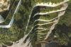 PLP Architecture - Park Nova 2